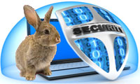 Securite_lapin